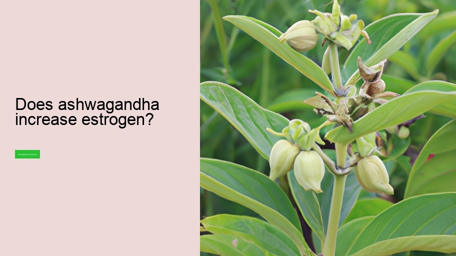 Does ashwagandha increase estrogen?
