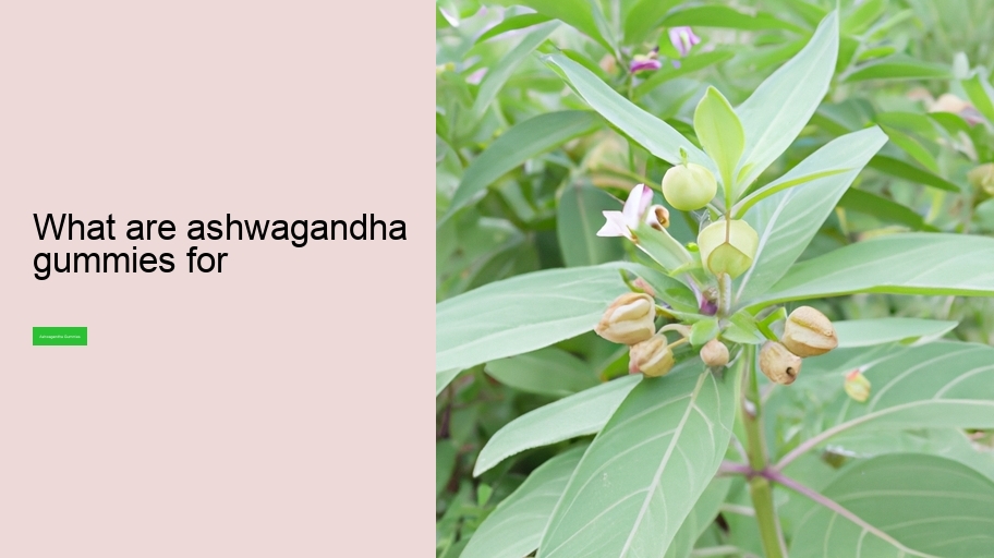 what are ashwagandha gummies for