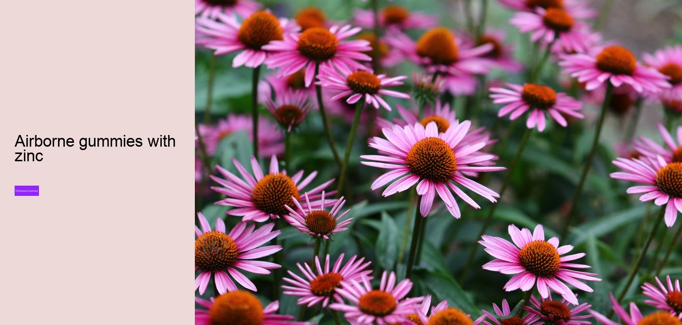 kids echinacea gummy