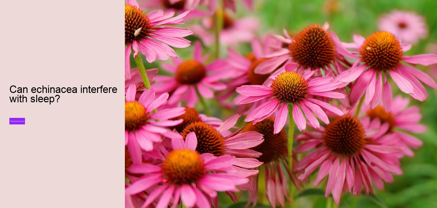 Does echinacea make you sleepy?