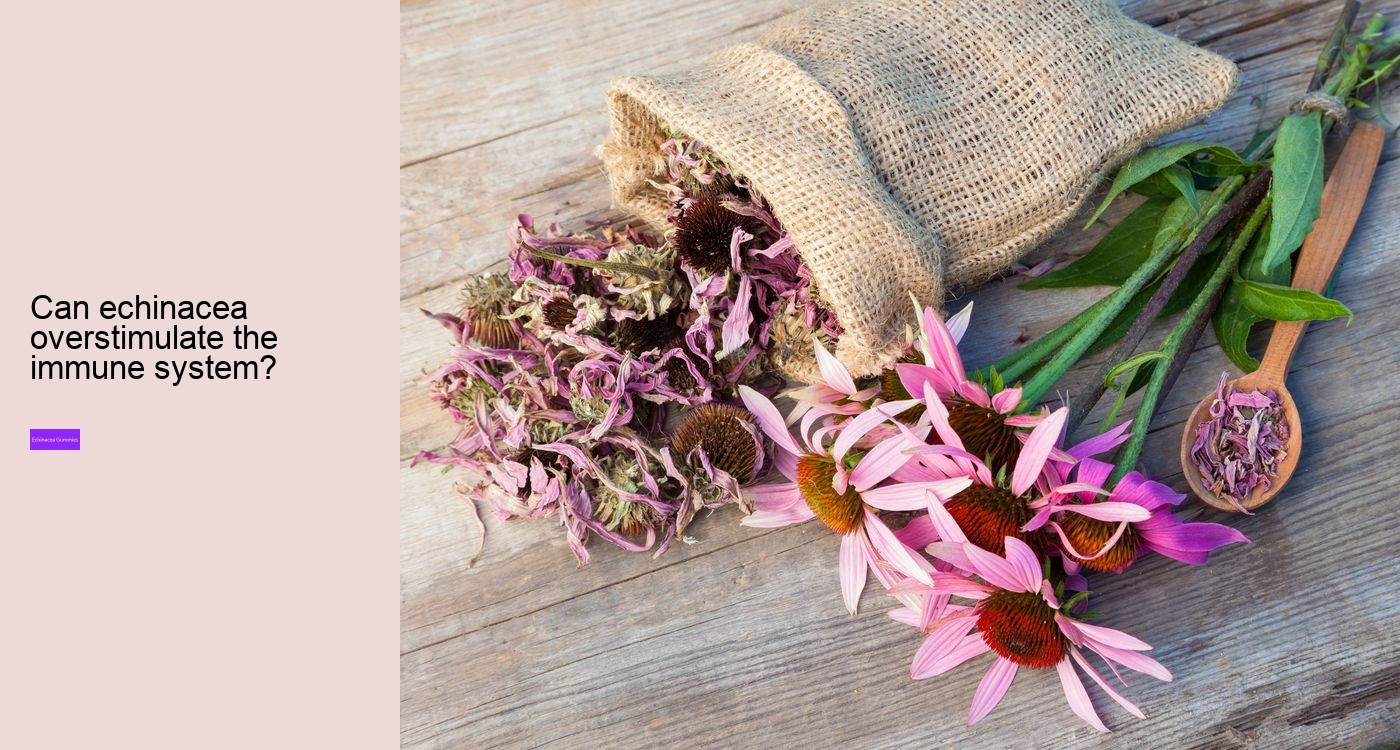 How long does it take for echinacea to work?