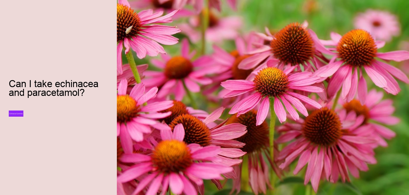 Is echinacea an anti inflammatory?