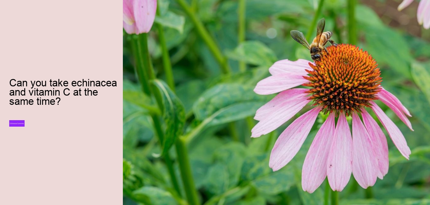 What's the best form of echinacea?