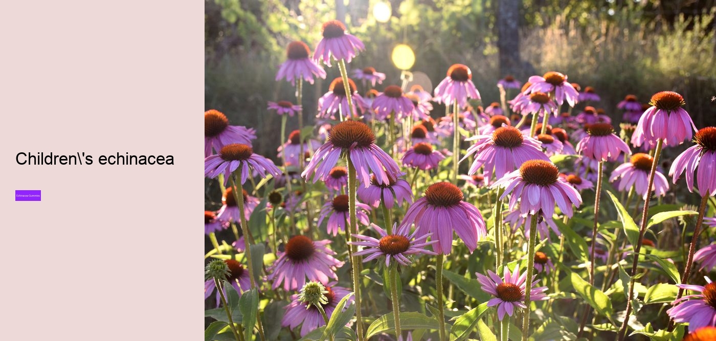 What to avoid when taking echinacea?