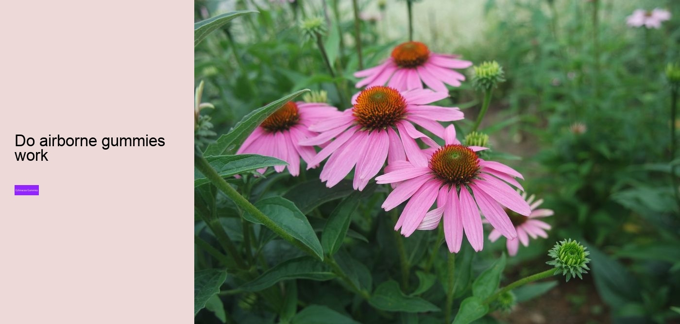 echinacea zinc