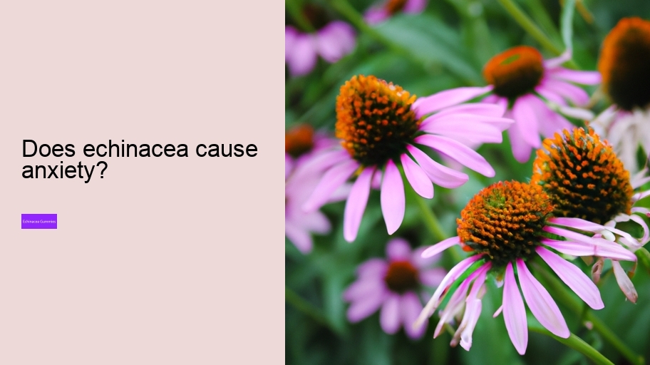 Does echinacea cause anxiety?