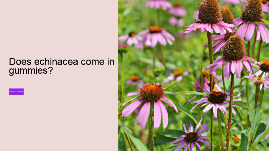 Does echinacea come in gummies?