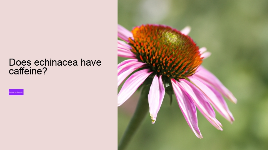 Does echinacea have caffeine?