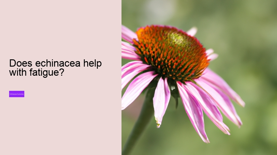 Does echinacea help with fatigue?