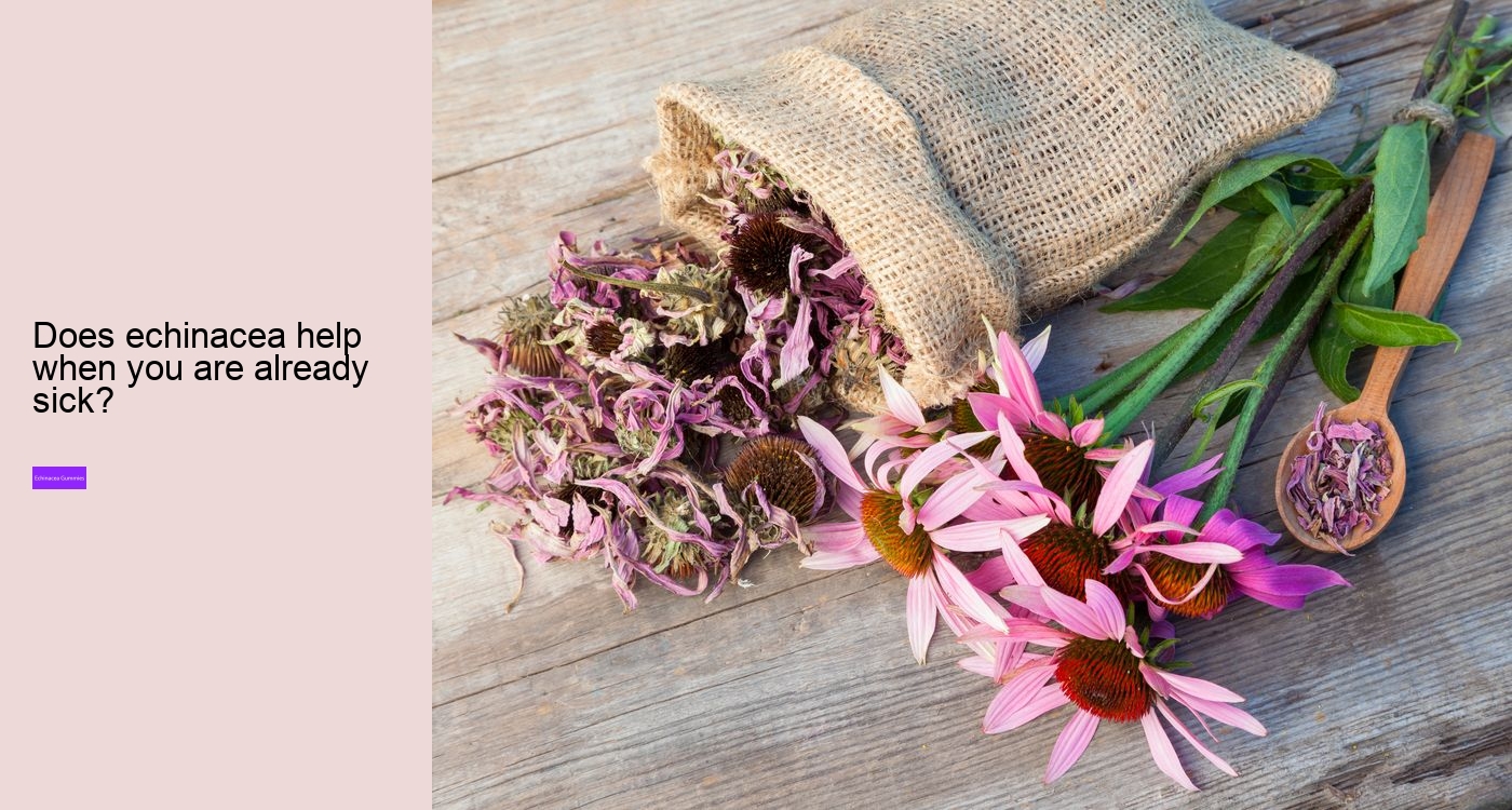 Does echinacea make you sleepy?