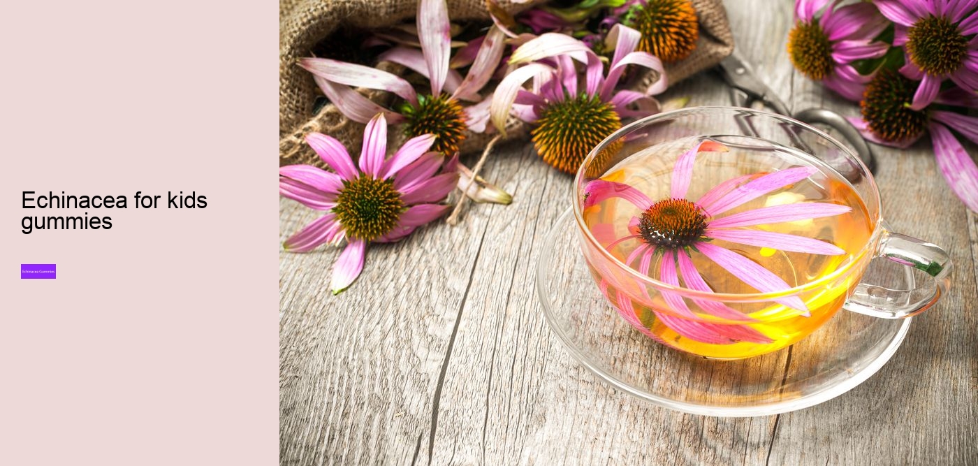 elderberry gummies with echinacea