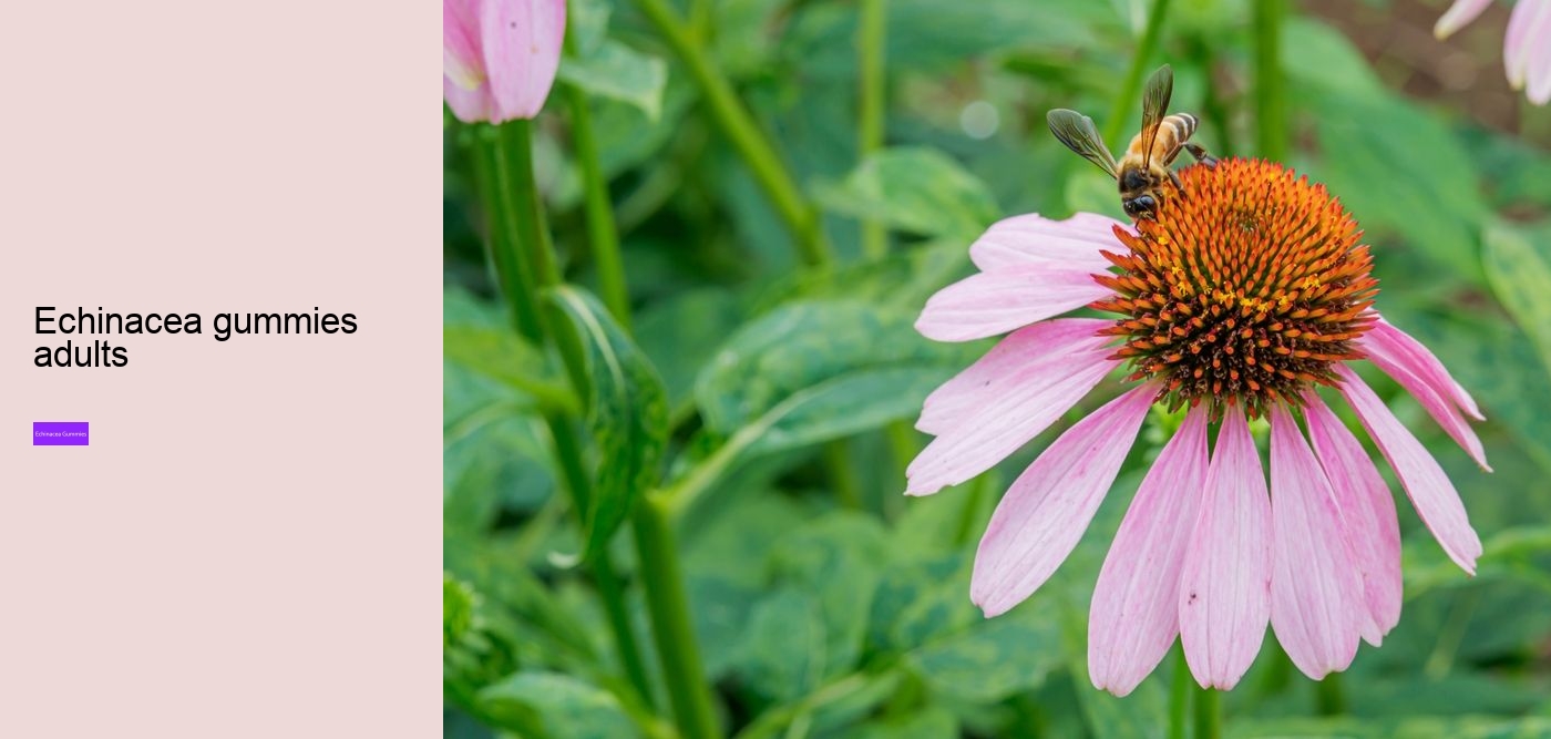 What are the benefits of propolis and echinacea gummies?