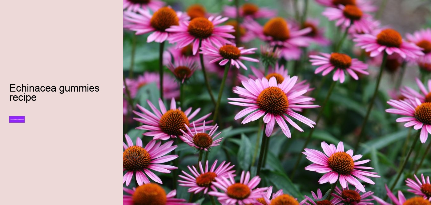 Is echinacea an anti-inflammatory?