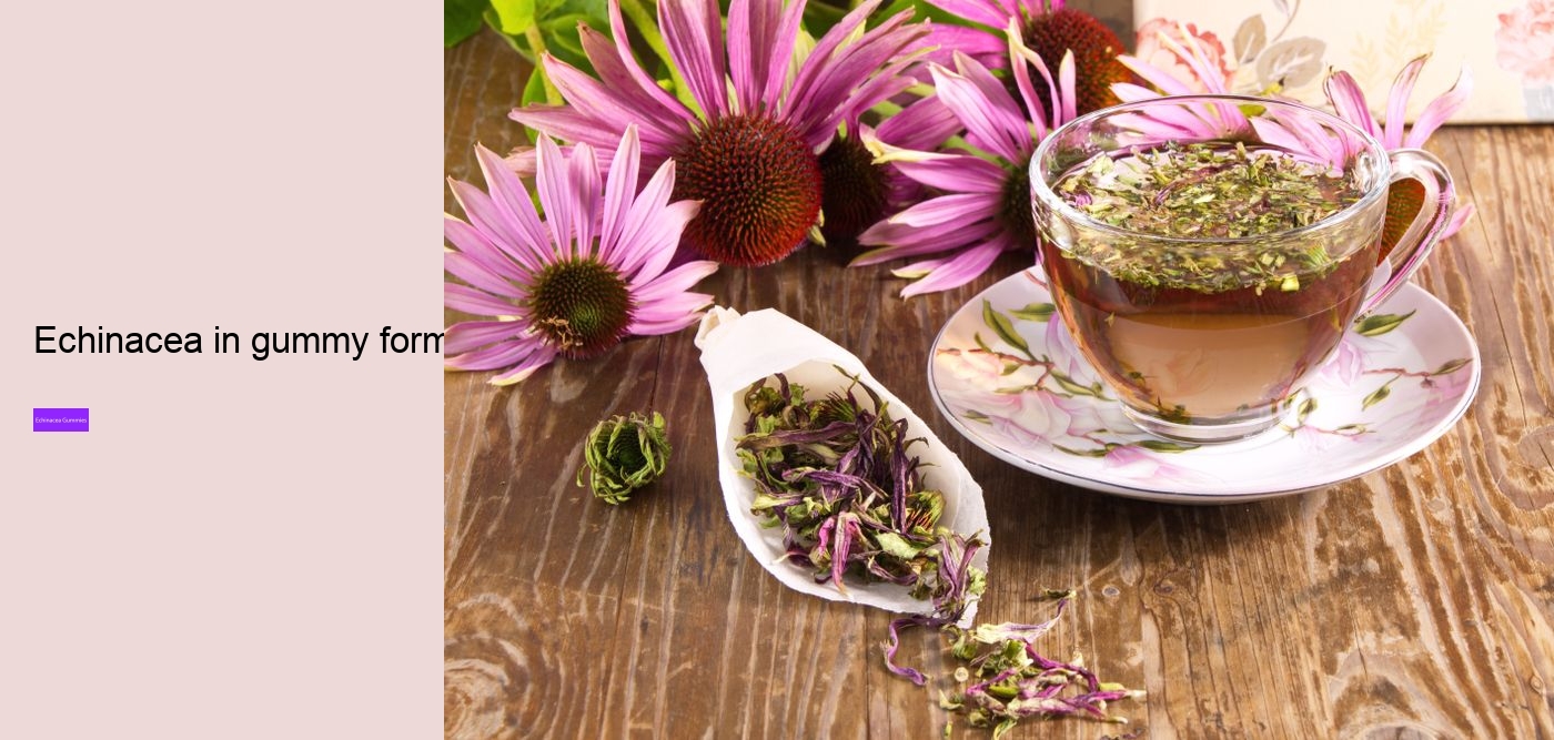 How much echinacea can I take a day?