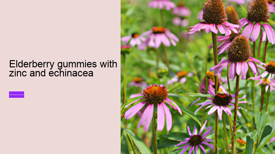 elderberry gummies with zinc and echinacea