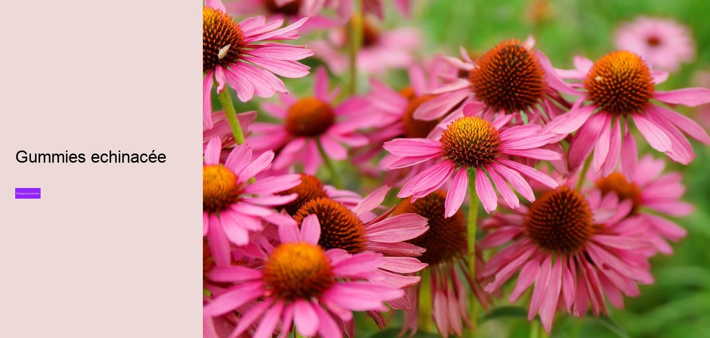 elderberry and echinacea gummies