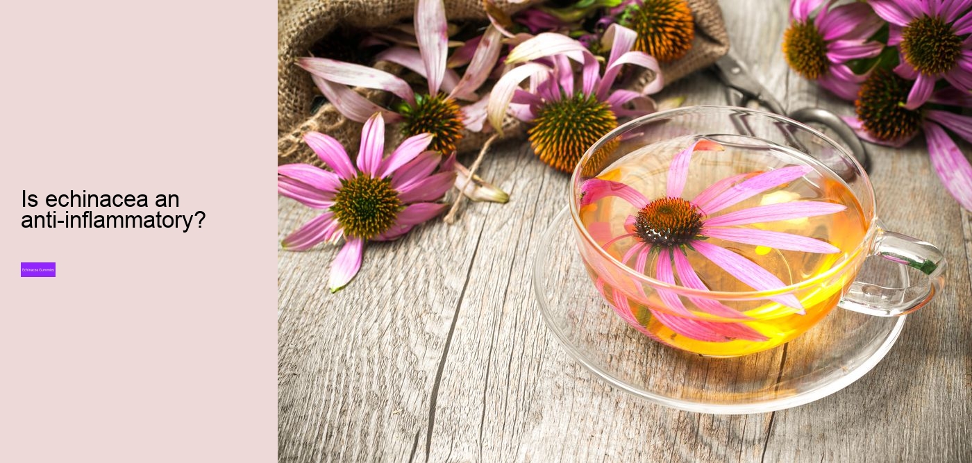 elderberry zinc echinacea gummies