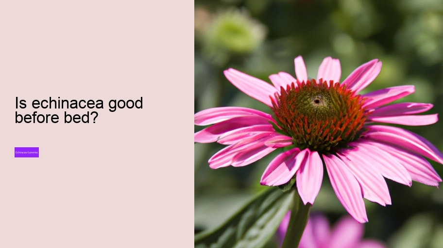 Is echinacea good before bed?