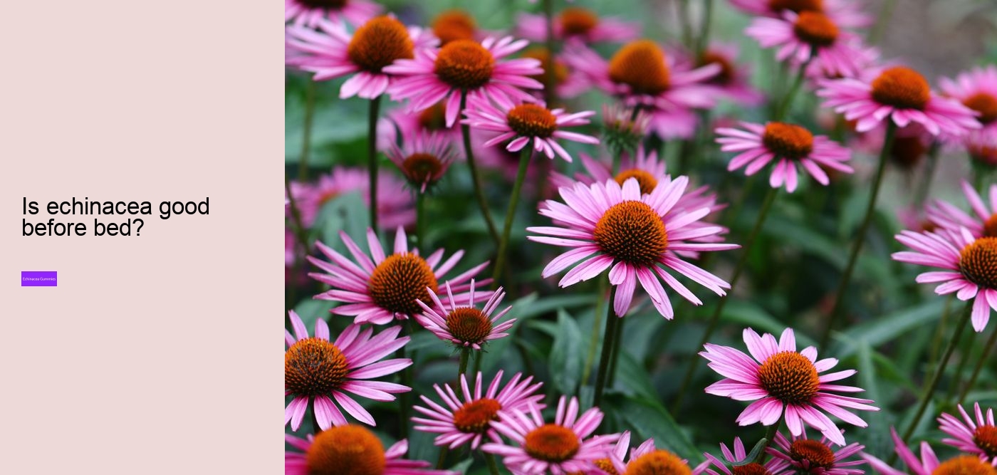 Why not take echinacea on an empty stomach?