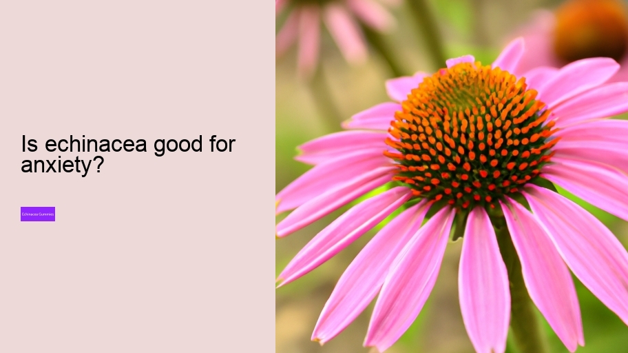 Is echinacea good for anxiety?