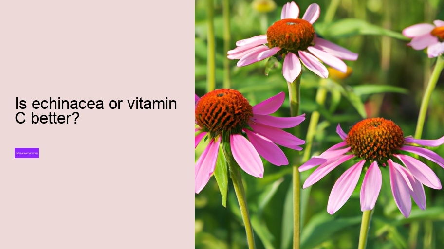 Is echinacea or vitamin C better?