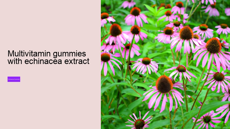 multivitamin gummies with echinacea extract