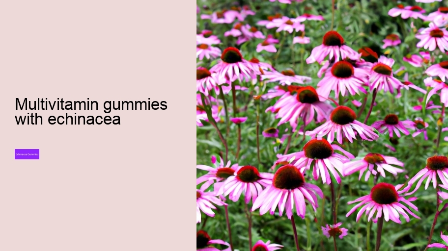 multivitamin gummies with echinacea