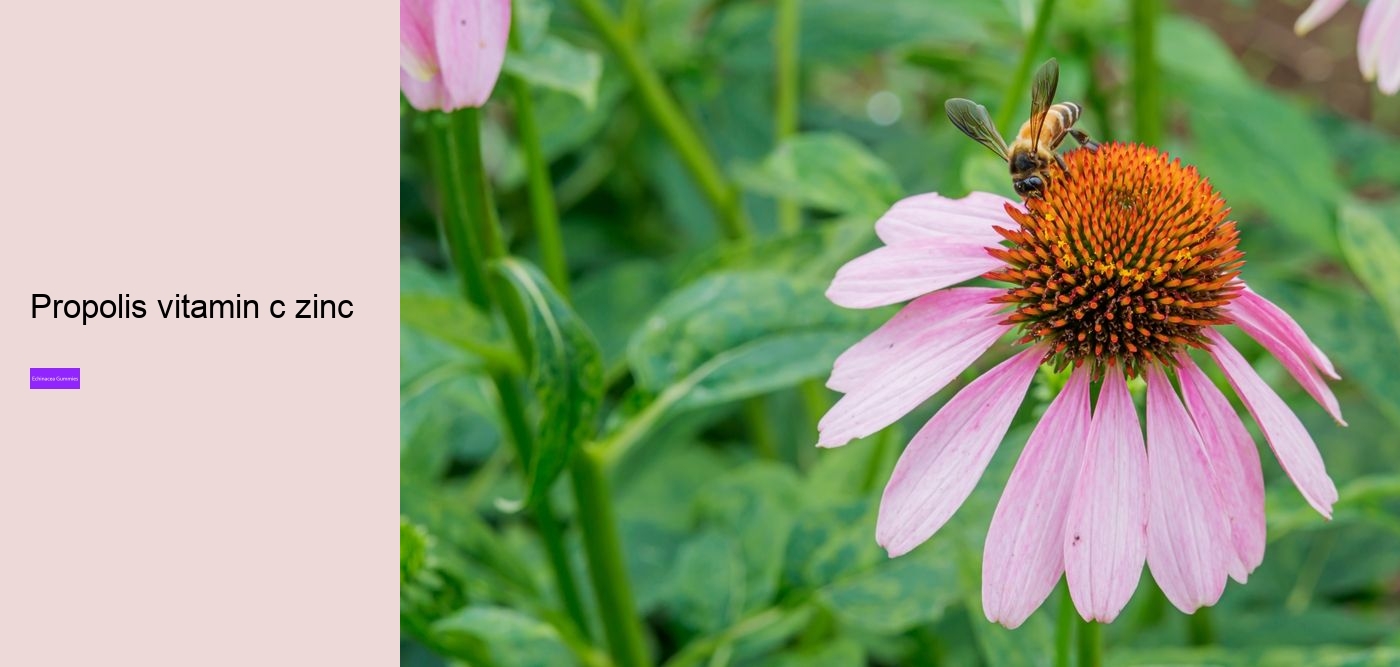 propolis and echinacea dietary supplement gummies