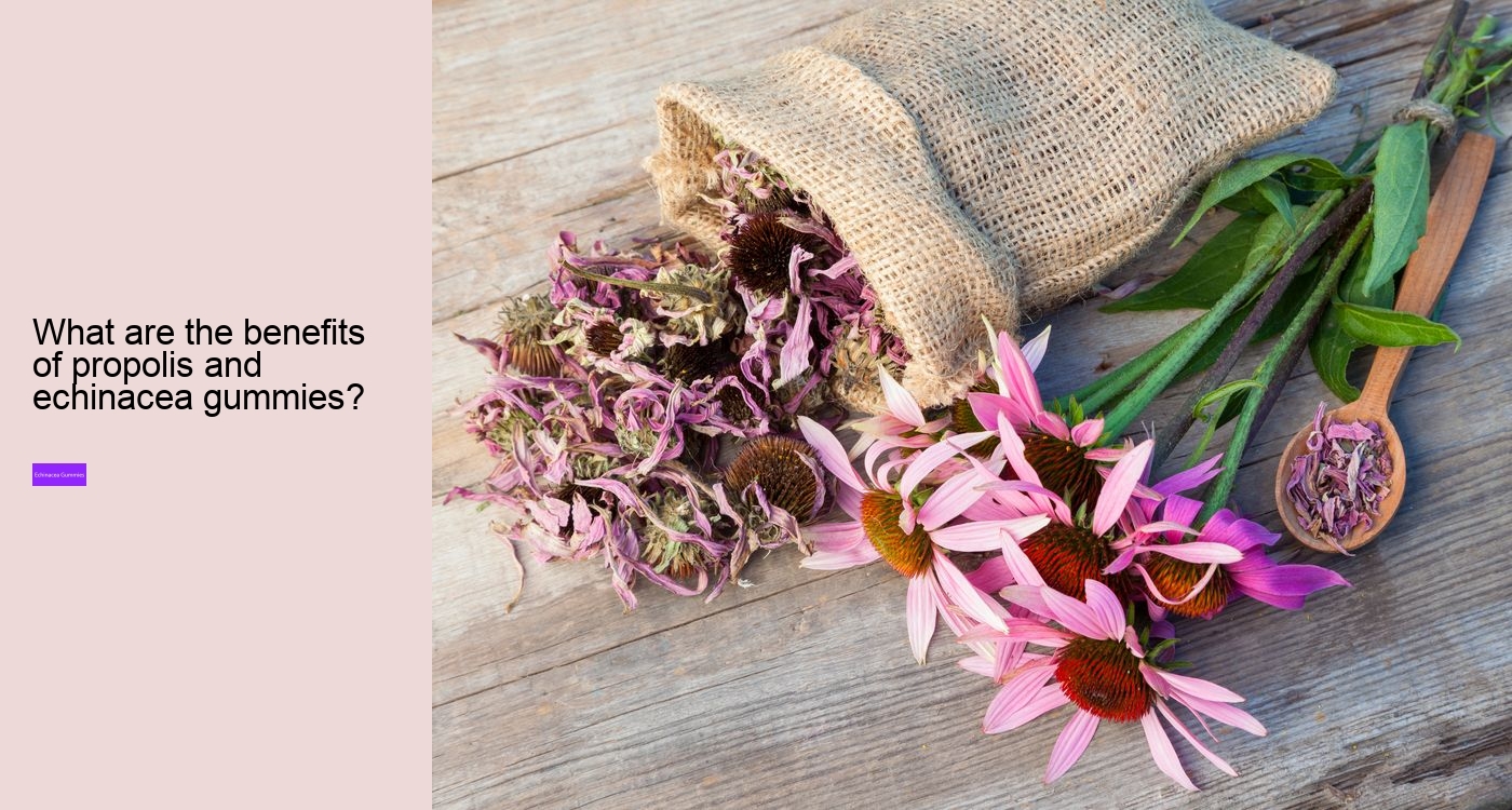 How long does it take for echinacea to work?