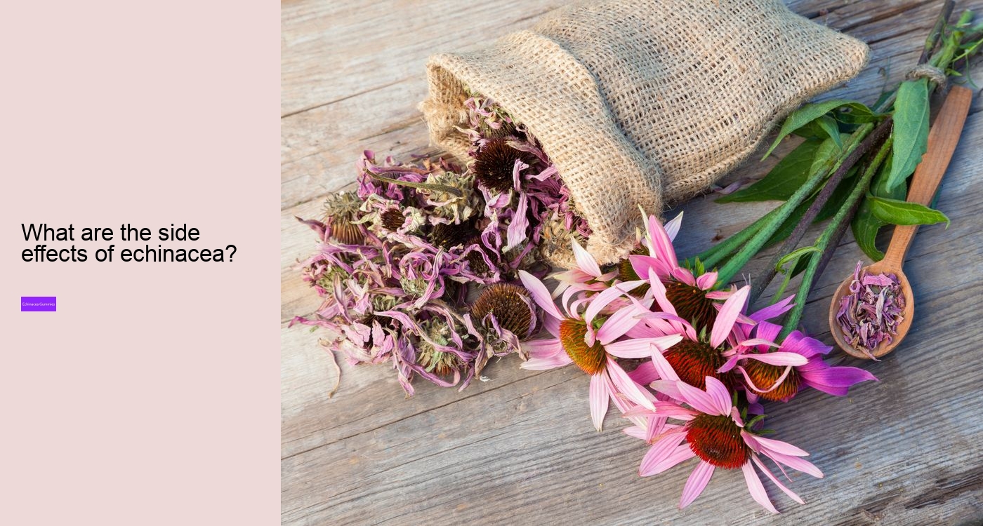 elderberry and echinacea gummies