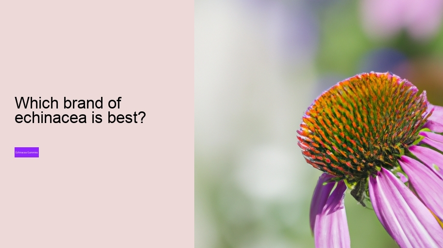 Which brand of echinacea is best?