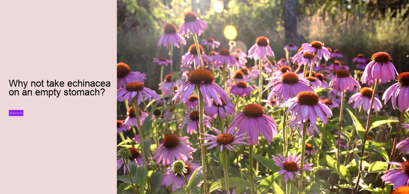 Does echinacea cause blood clots?