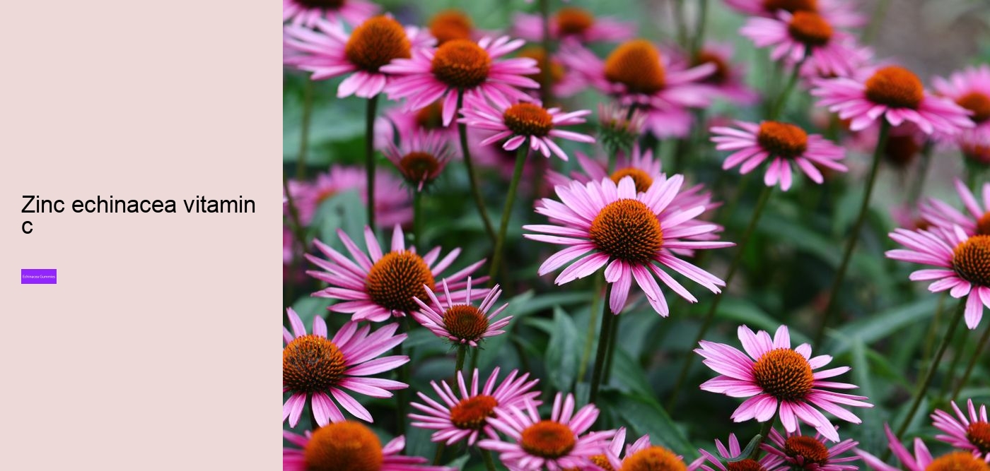 echinacea zinc vitamin c