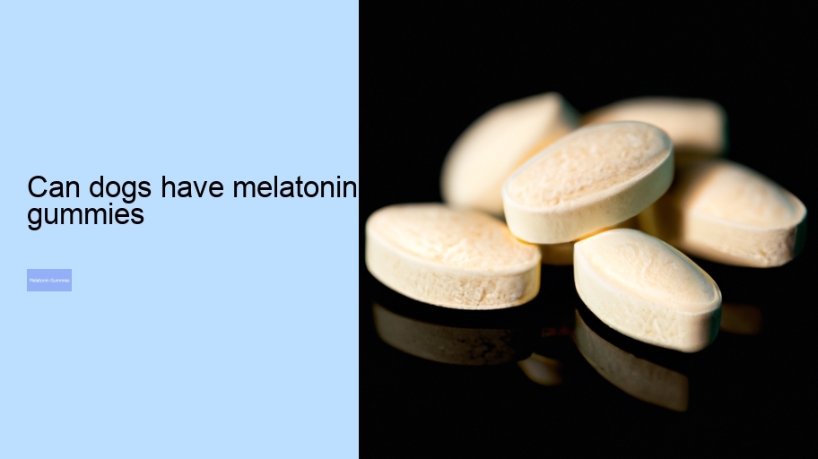 can dogs have melatonin gummies