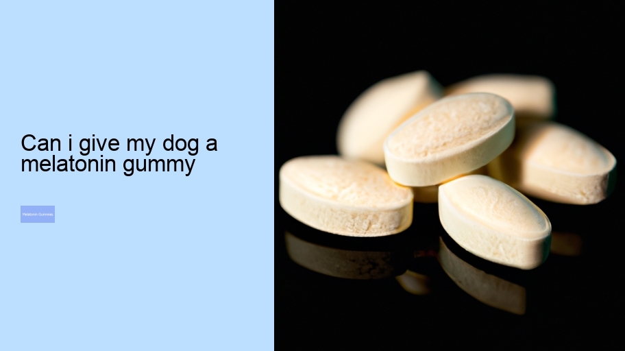 can i give my dog a melatonin gummy