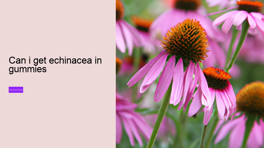 can i get echinacea in gummies