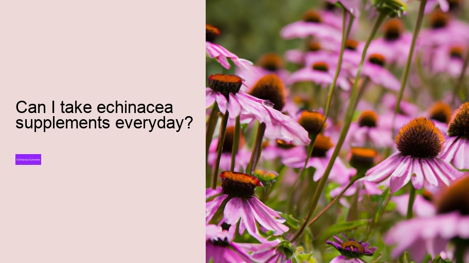 Can I take echinacea supplements everyday?