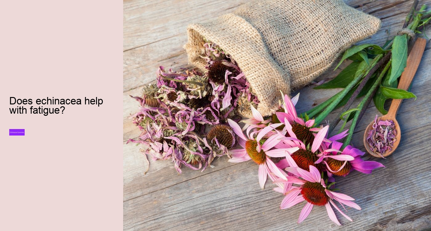 Does echinacea give you energy?