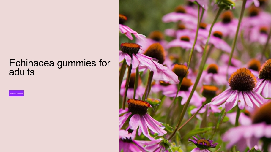 echinacea gummies for adults