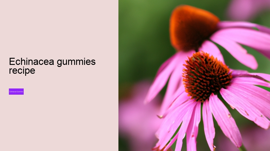 echinacea gummies recipe