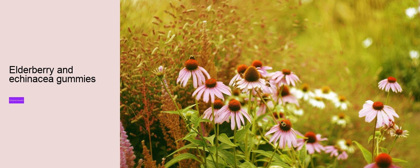 What are the pros and cons of echinacea?