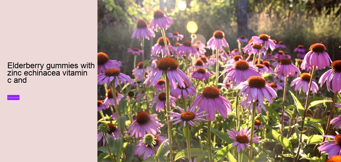 elderberry gummies with echinacea