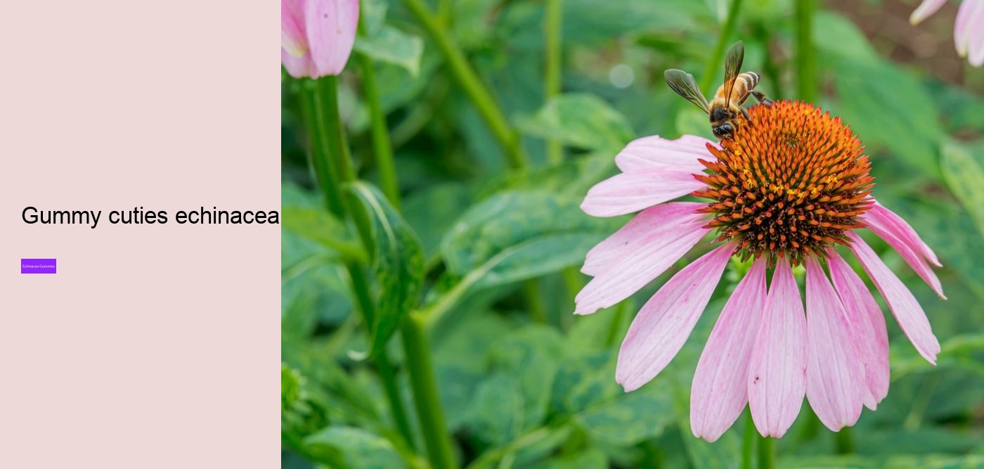 echinacea for kids