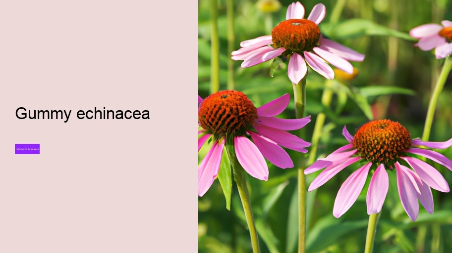 gummy echinacea