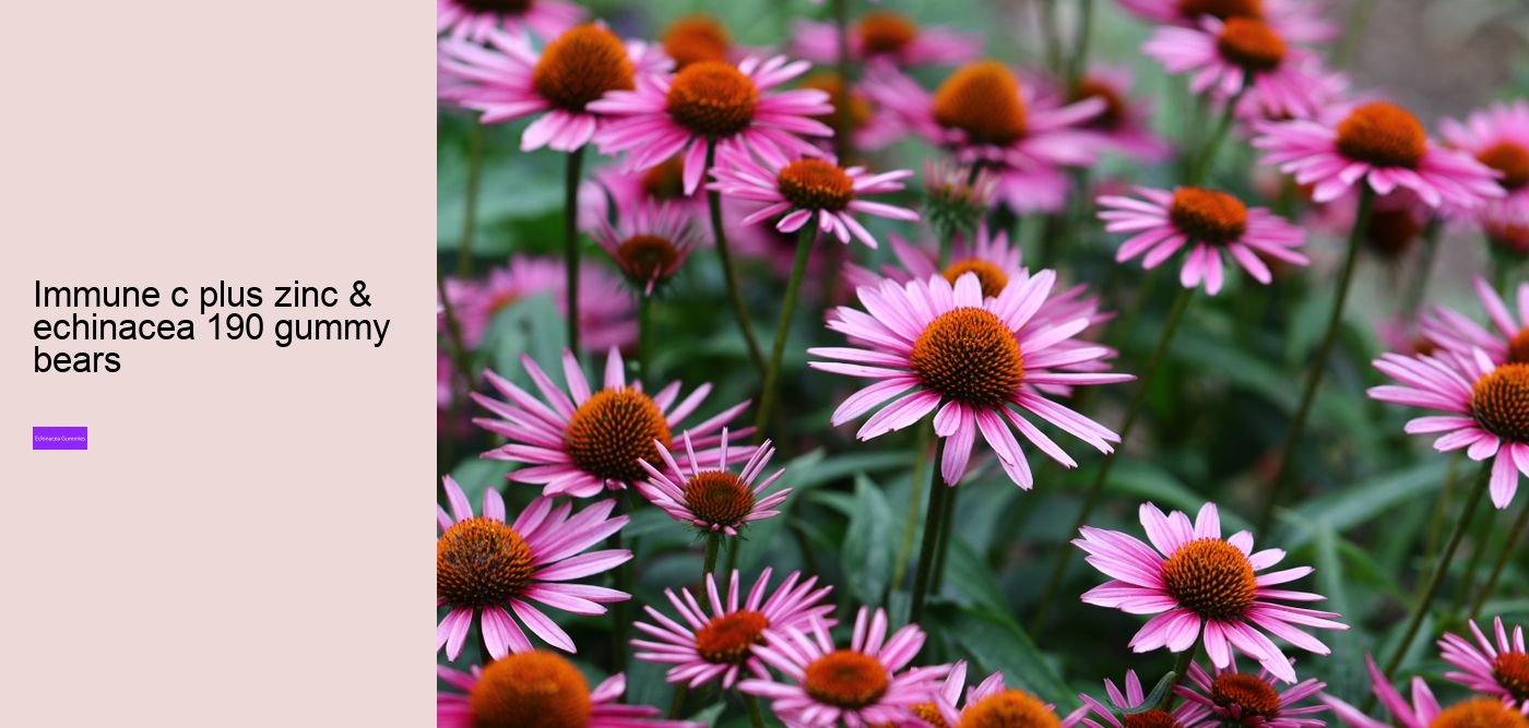 Why not take echinacea on an empty stomach?