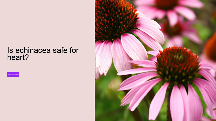 Is echinacea safe for heart?