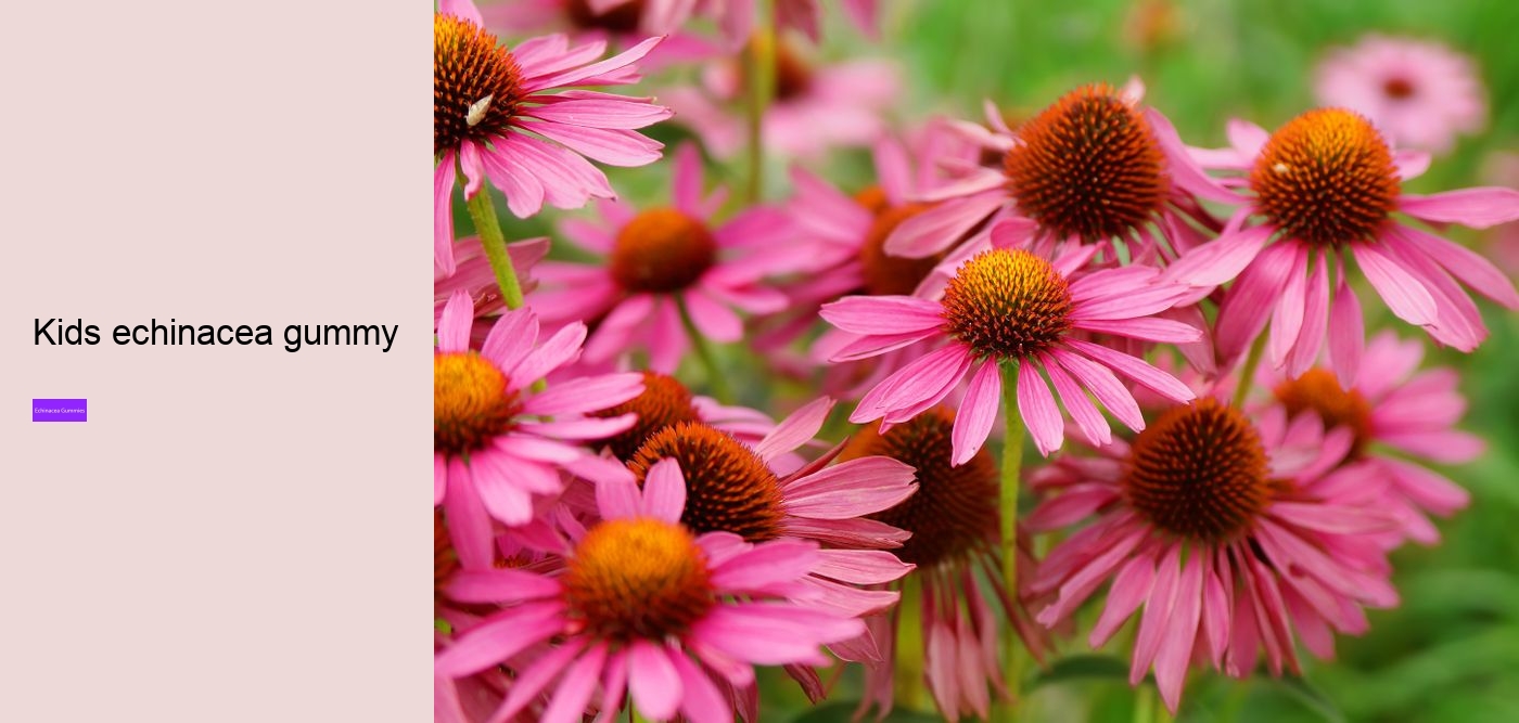 Does echinacea give you energy?