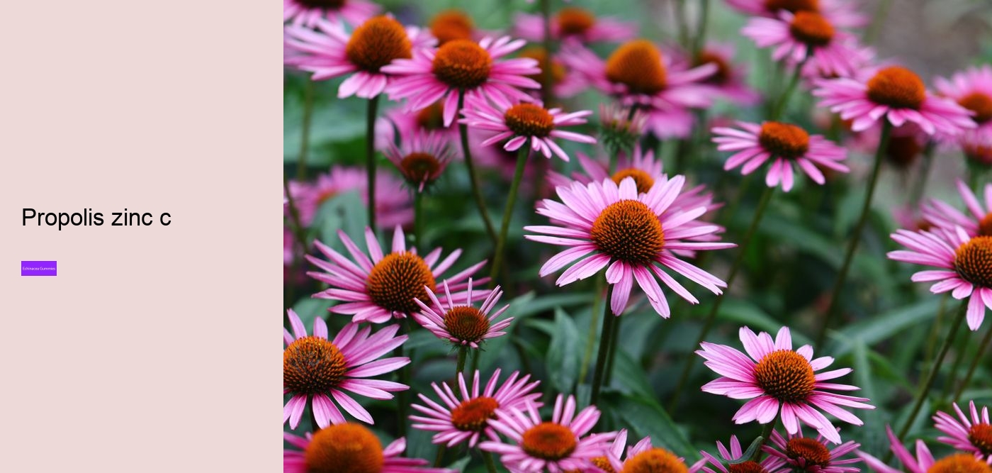 echinacea zinc vitamin c